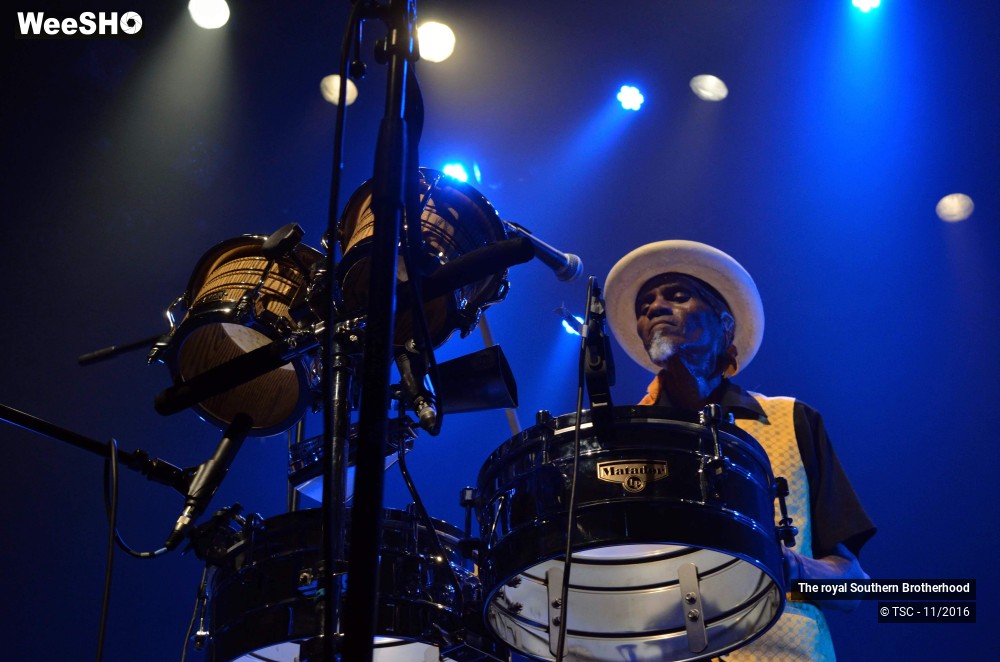 25/45 photos du spectacle The royal Southern Brotherhood