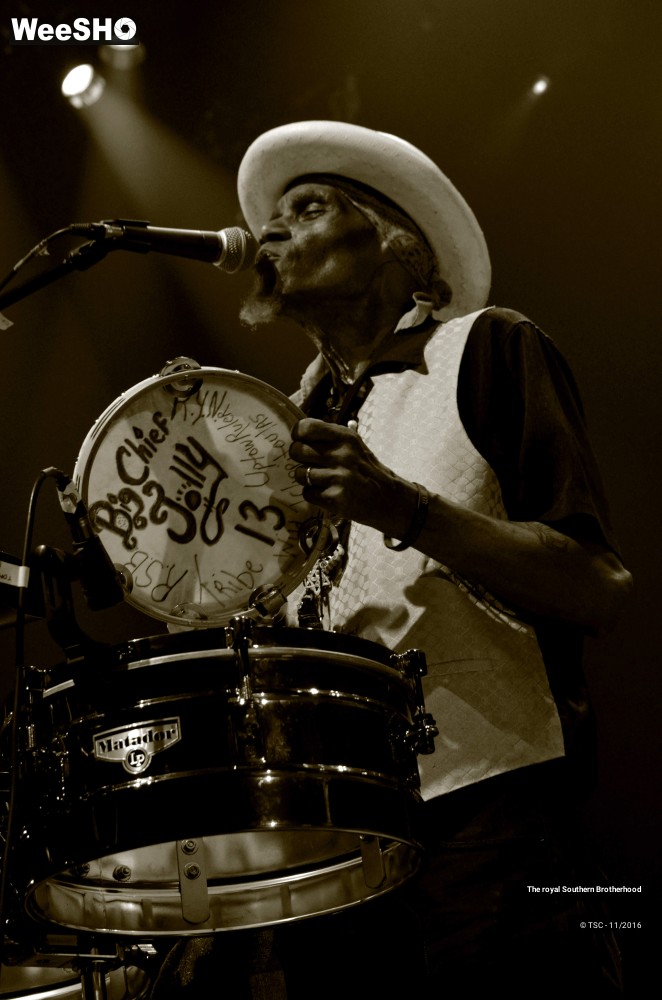 26/45 photos du spectacle The royal Southern Brotherhood