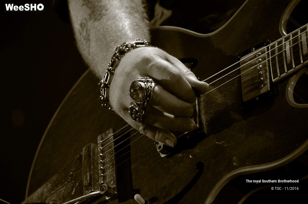 27/45 photos du spectacle The royal Southern Brotherhood