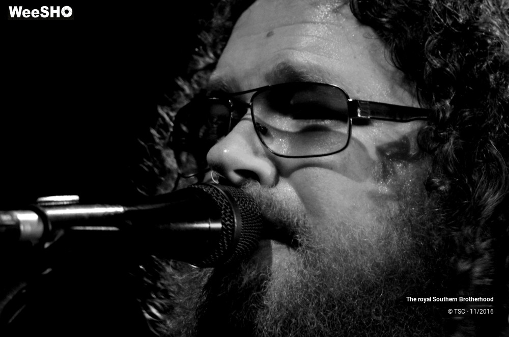 28/45 photos du spectacle The royal Southern Brotherhood