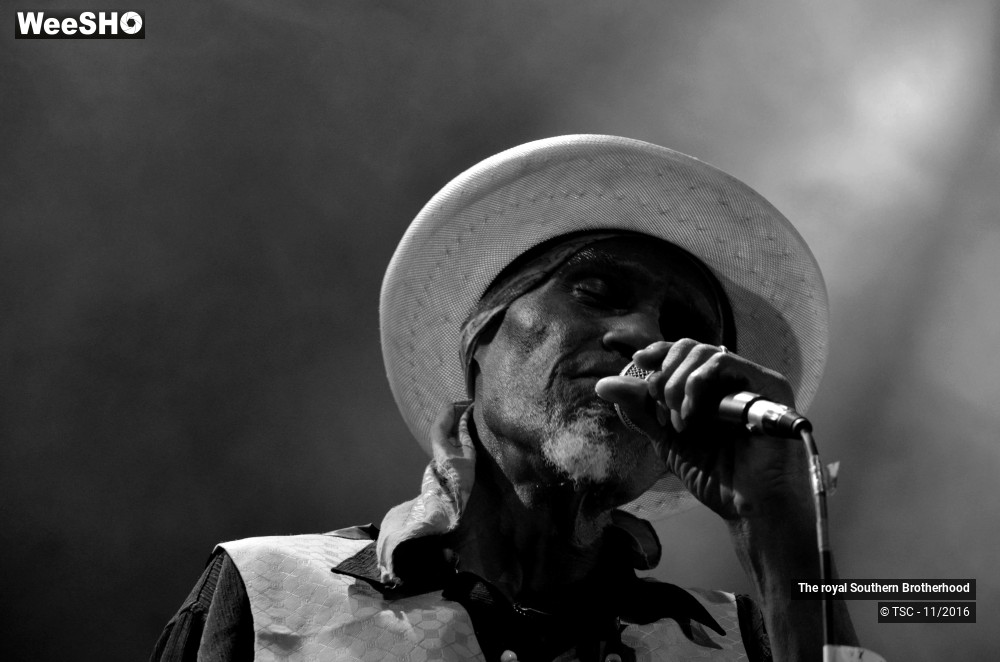 29/45 photos du spectacle The royal Southern Brotherhood