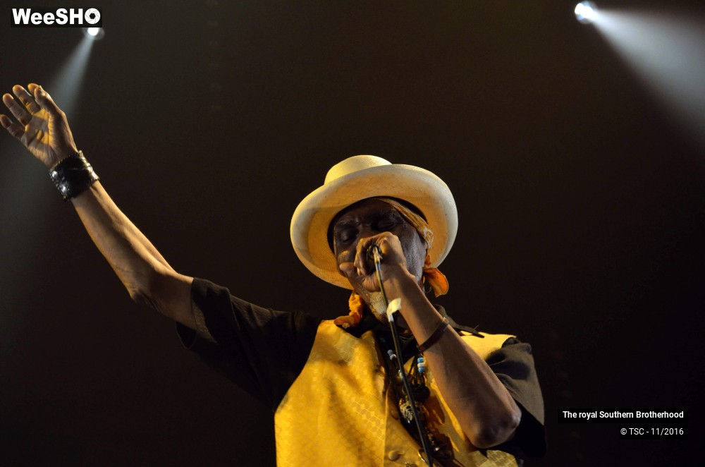 30/45 photos du spectacle The royal Southern Brotherhood