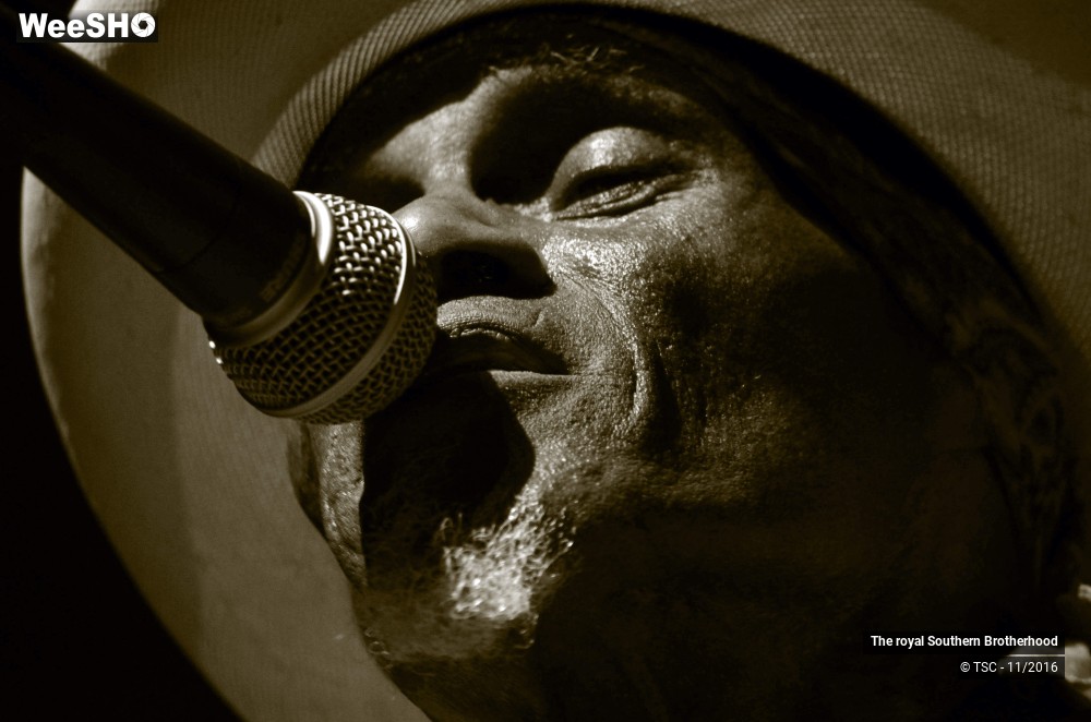 32/45 photos du spectacle The royal Southern Brotherhood