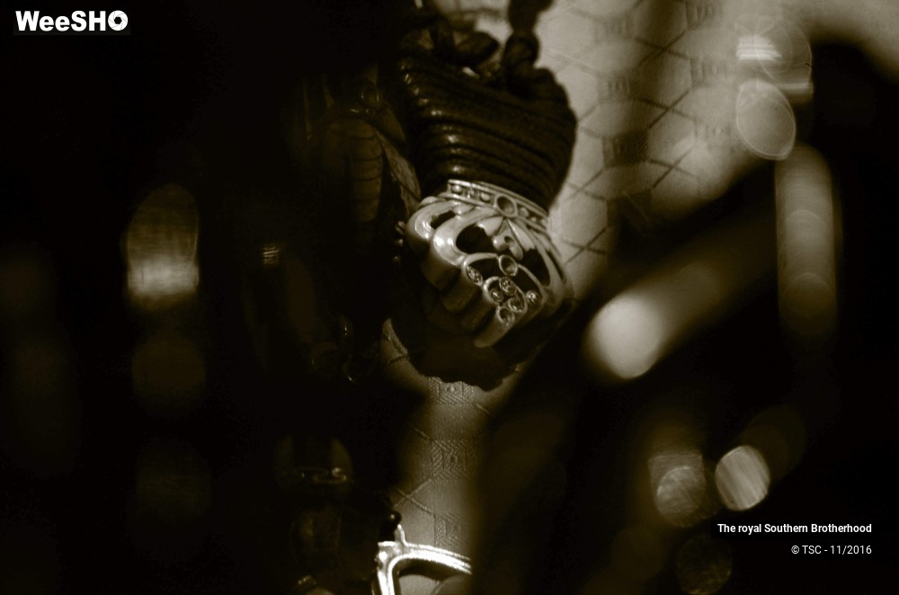 37/45 photos du spectacle The royal Southern Brotherhood