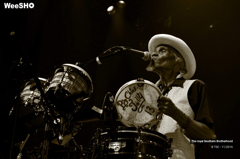 39/45 photos du spectacle The royal Southern Brotherhood