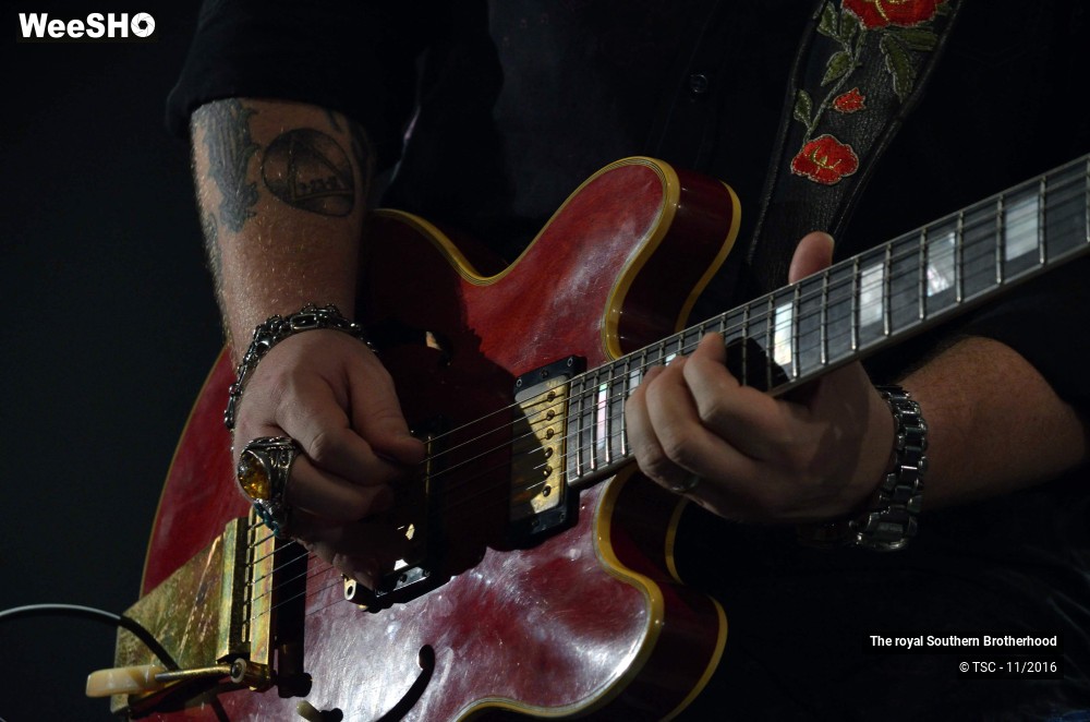 41/45 photos du spectacle The royal Southern Brotherhood