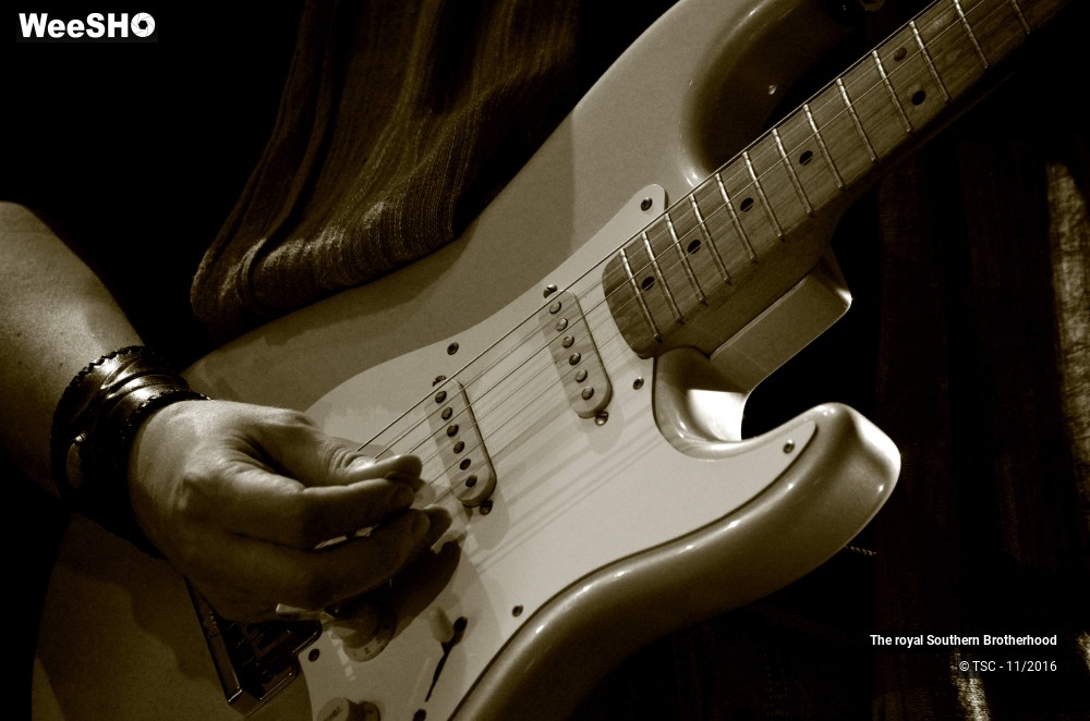 42/45 photos du spectacle The royal Southern Brotherhood