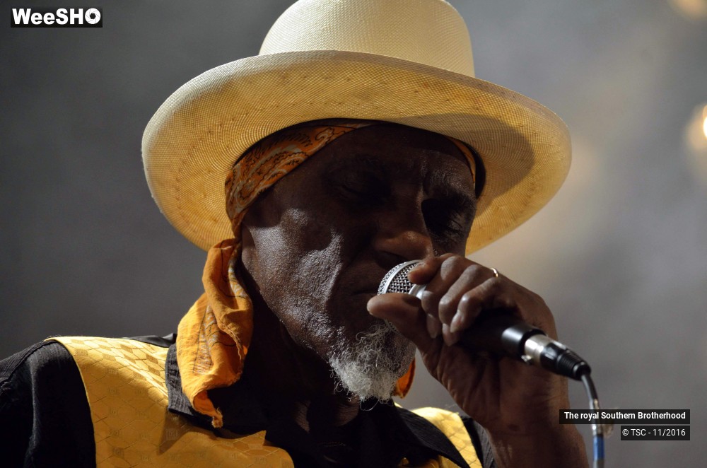 43/45 photos du spectacle The royal Southern Brotherhood