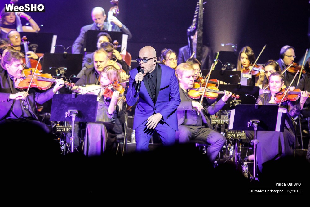 21/41 photos du spectacle Pascal Obispo