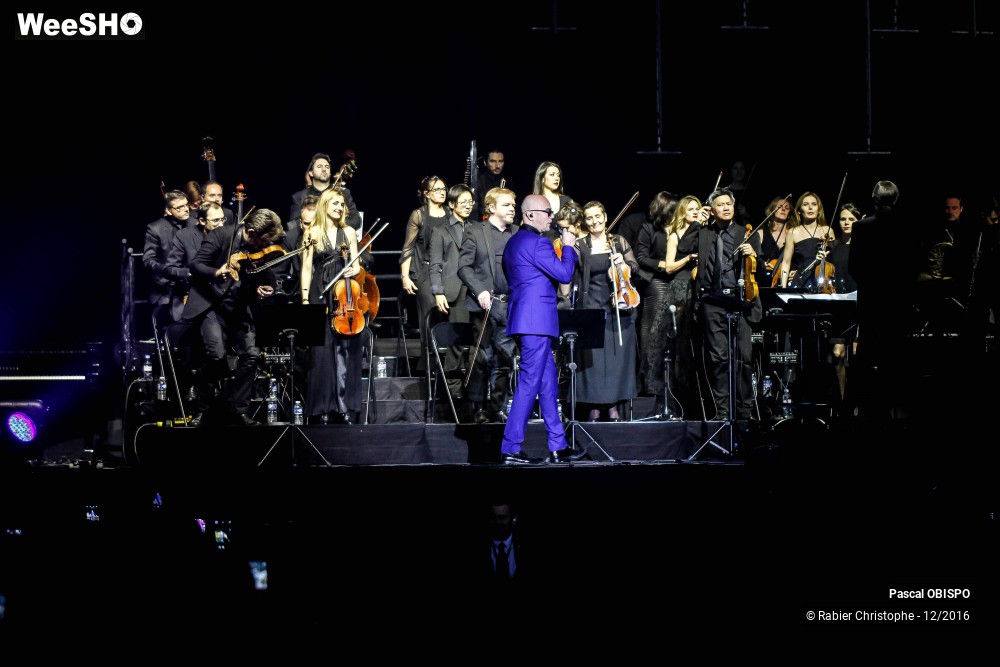 30/41 photos du spectacle Pascal Obispo