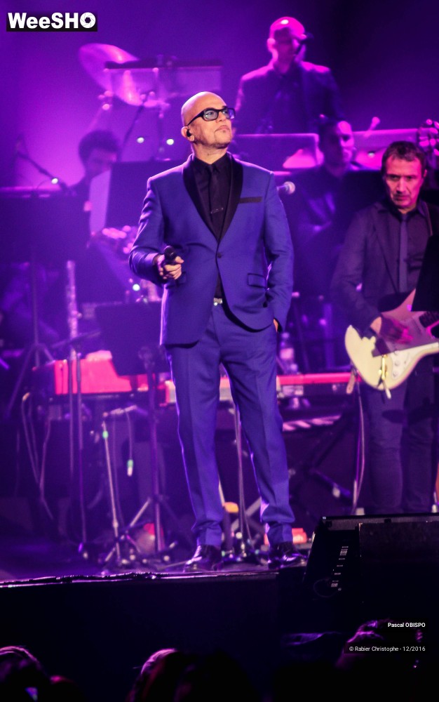 33/41 photos du spectacle Pascal Obispo