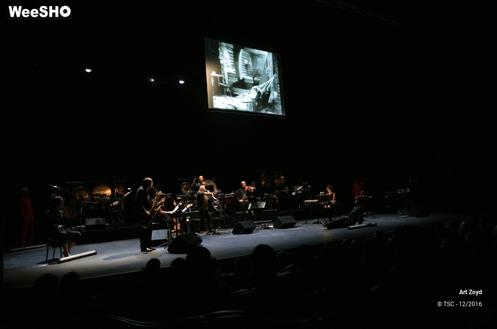 15/21 photos du spectacle 44 1/2 ART ZOYD