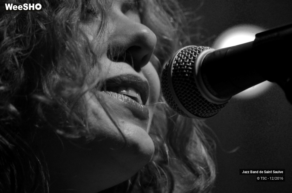 4/45 photos du spectacle ENTRE JAZZ & CHANSONS - Concert au profit des Restos du Coeur