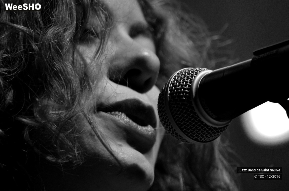 30/45 photos du spectacle ENTRE JAZZ & CHANSONS - Concert au profit des Restos du Coeur