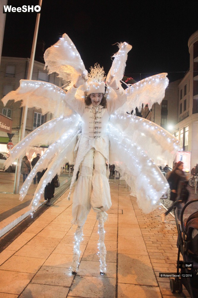 22/49 photos du spectacle voyage au coeur du village de noel