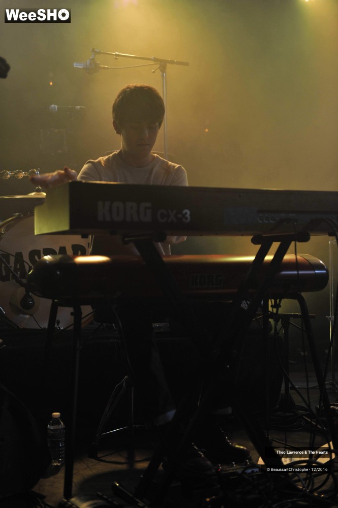 28/35 photos du spectacle Theo Lawrence & The Hearts