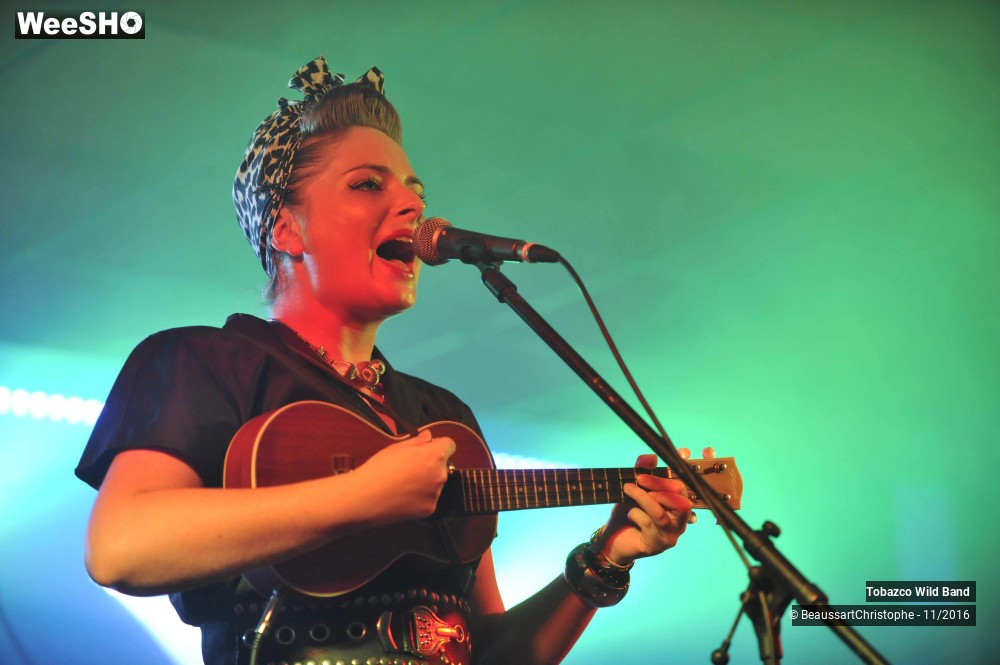17/26 photos du spectacle Tobazco Wild Band