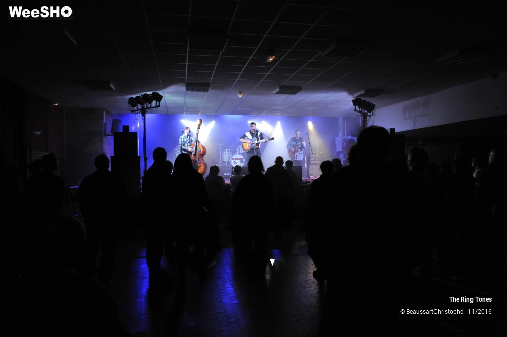 15/22 photos du spectacle The Ringtones