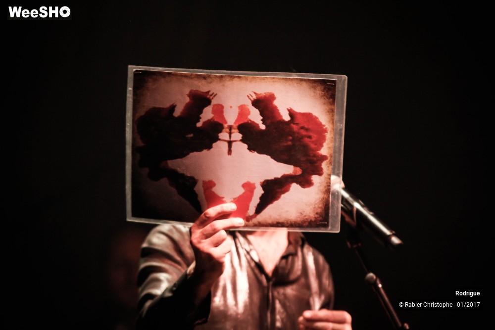 13/55 photos du spectacle Rodrigue