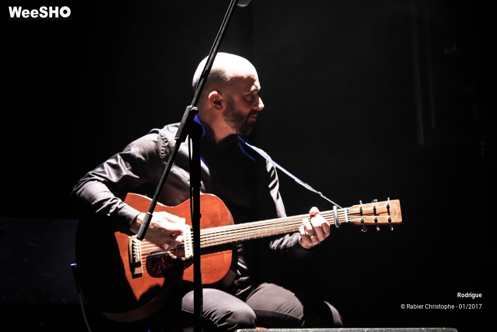 16/55 photos du spectacle Rodrigue