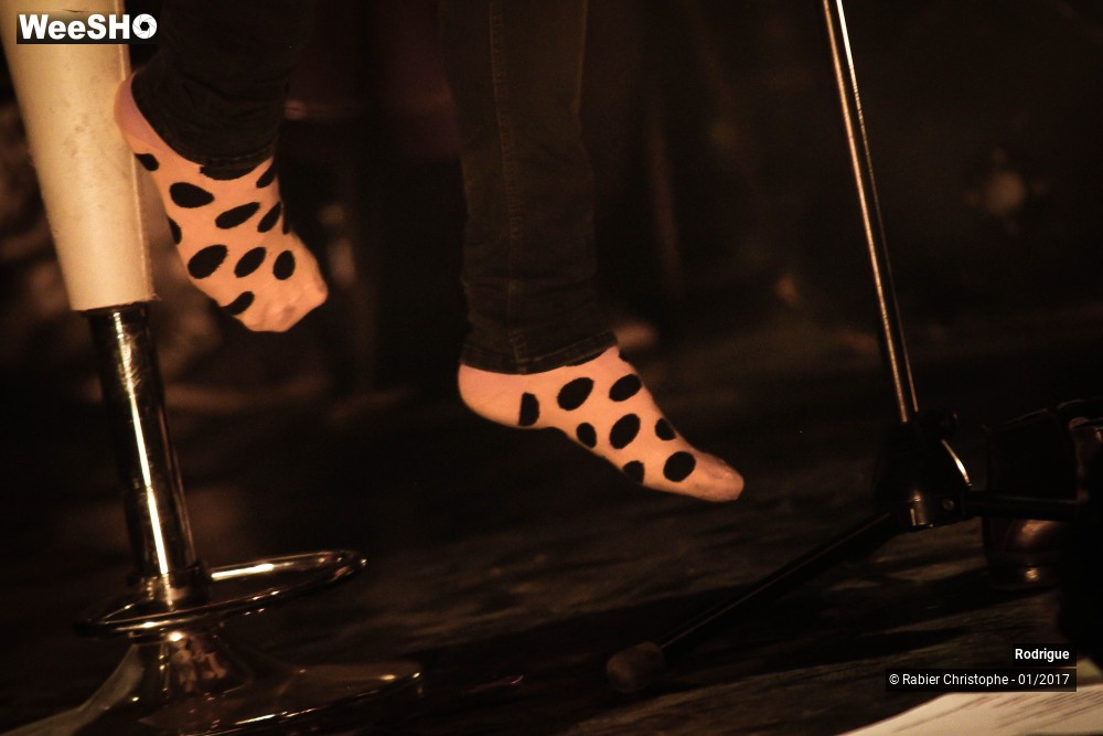 17/55 photos du spectacle Rodrigue