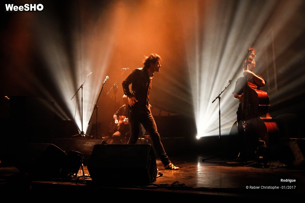 18/55 photos du spectacle Rodrigue