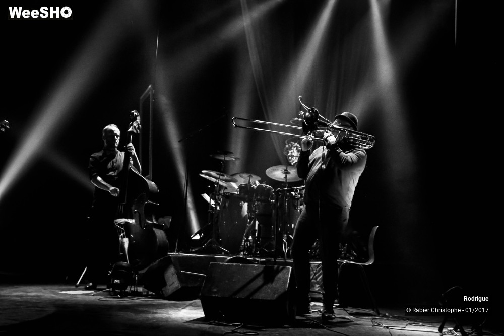 26/55 photos du spectacle Rodrigue