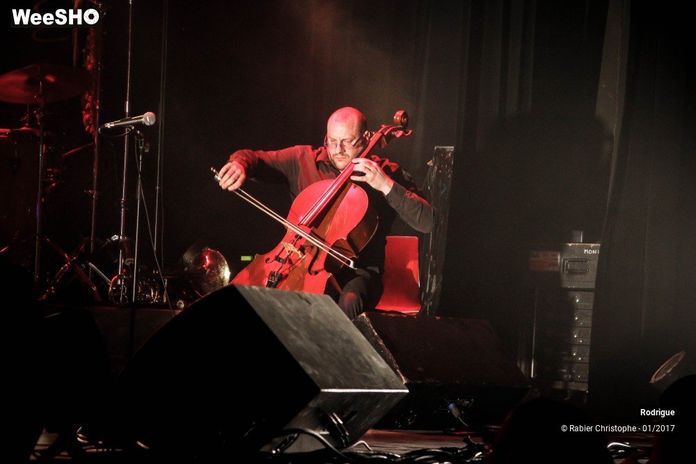 41/55 photos du spectacle Rodrigue