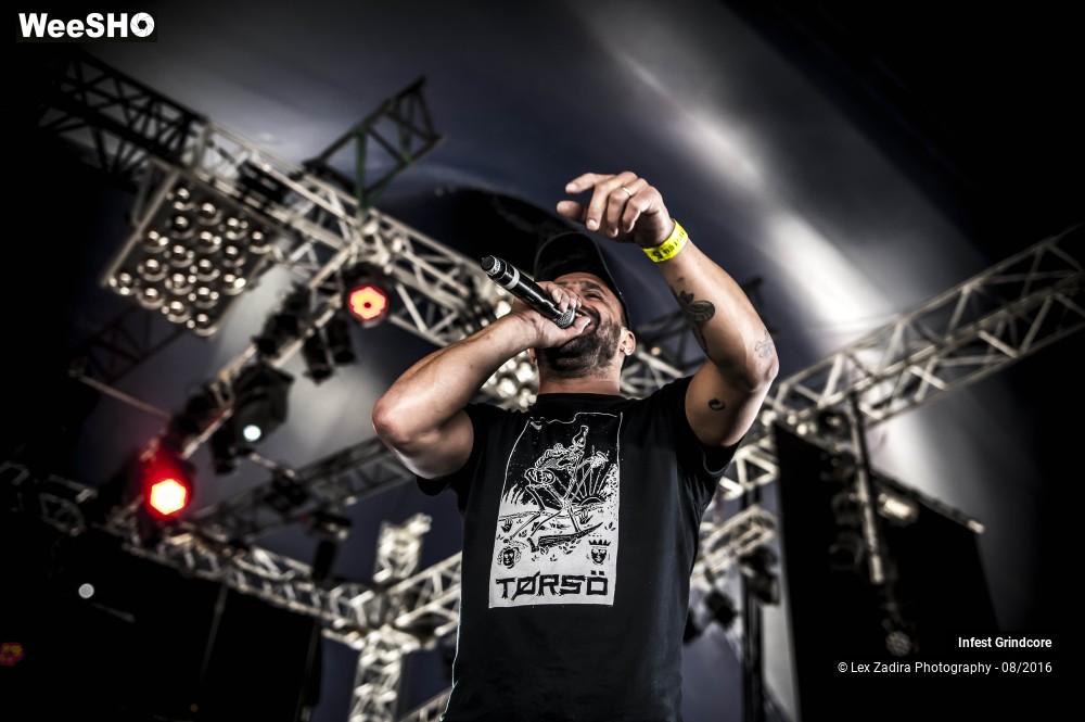 1/5 photos du spectacle Infest Grindcore