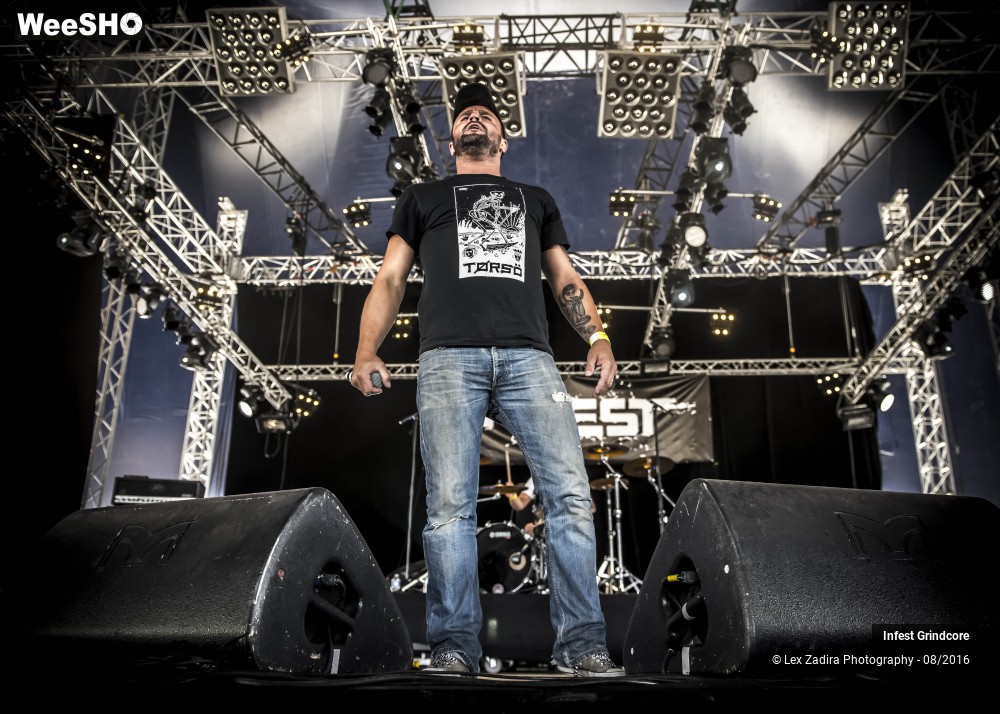 5/5 photos du spectacle Infest Grindcore