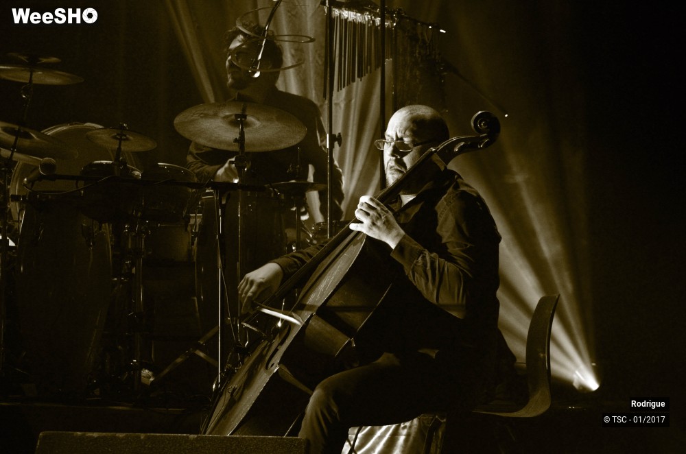 2/41 photos du spectacle Rodrigue