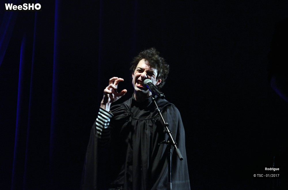 5/41 photos du spectacle Rodrigue