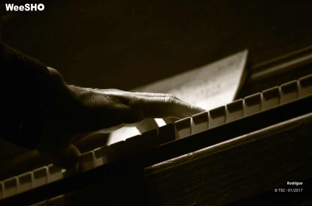 7/41 photos du spectacle Rodrigue