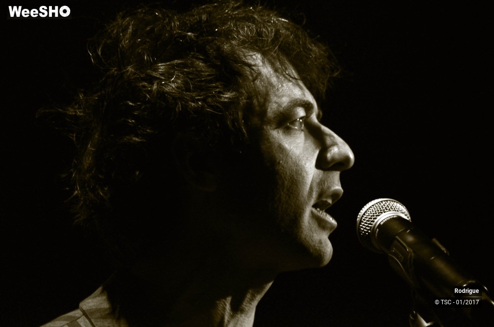 8/41 photos du spectacle Rodrigue