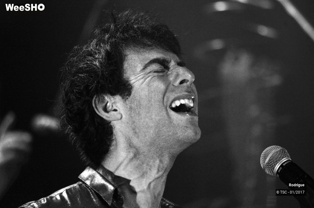 11/41 photos du spectacle Rodrigue