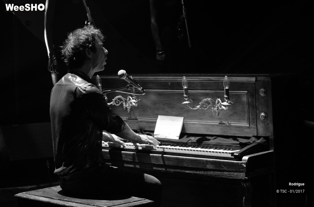 12/41 photos du spectacle Rodrigue