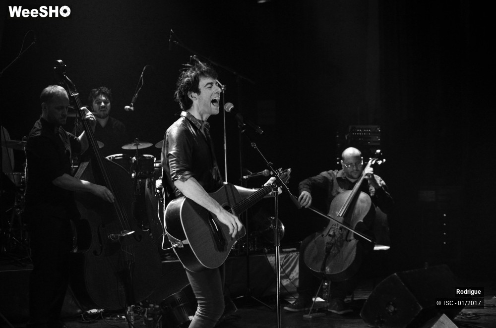 16/41 photos du spectacle Rodrigue