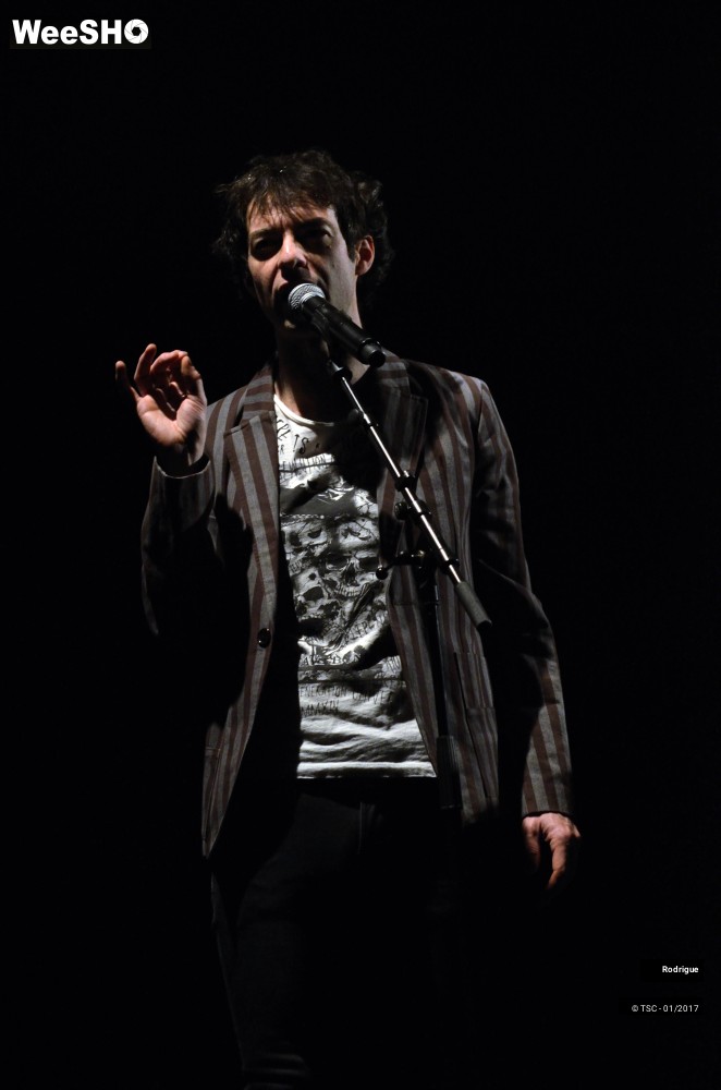 17/41 photos du spectacle Rodrigue