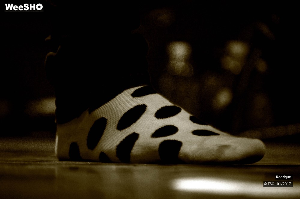 18/41 photos du spectacle Rodrigue