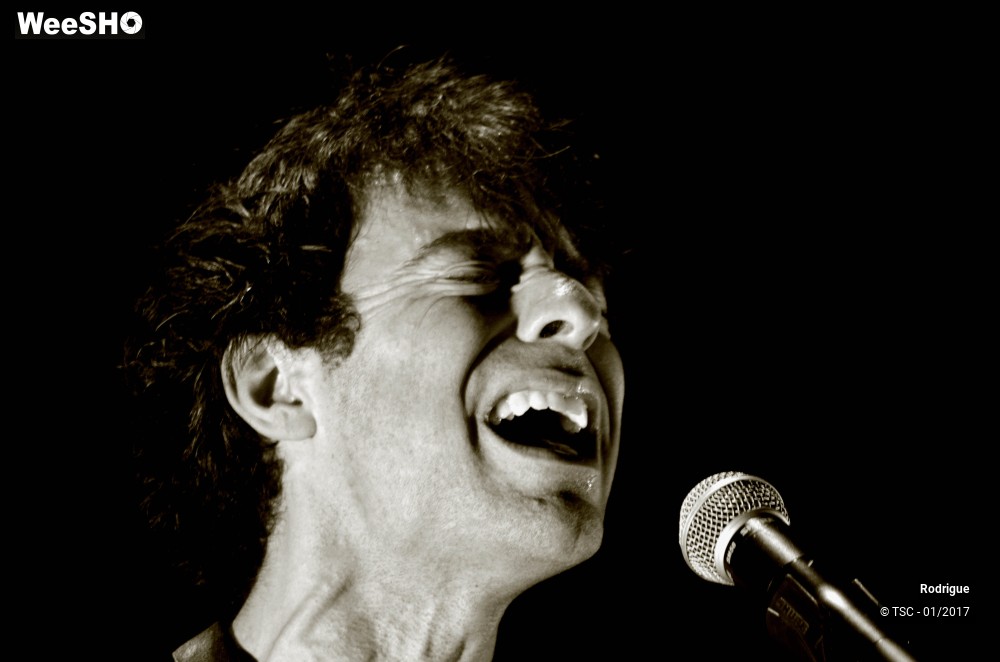 19/41 photos du spectacle Rodrigue