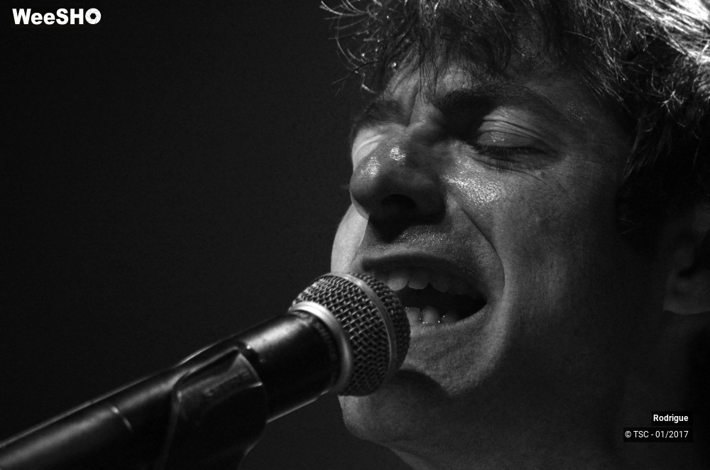 26/41 photos du spectacle Rodrigue