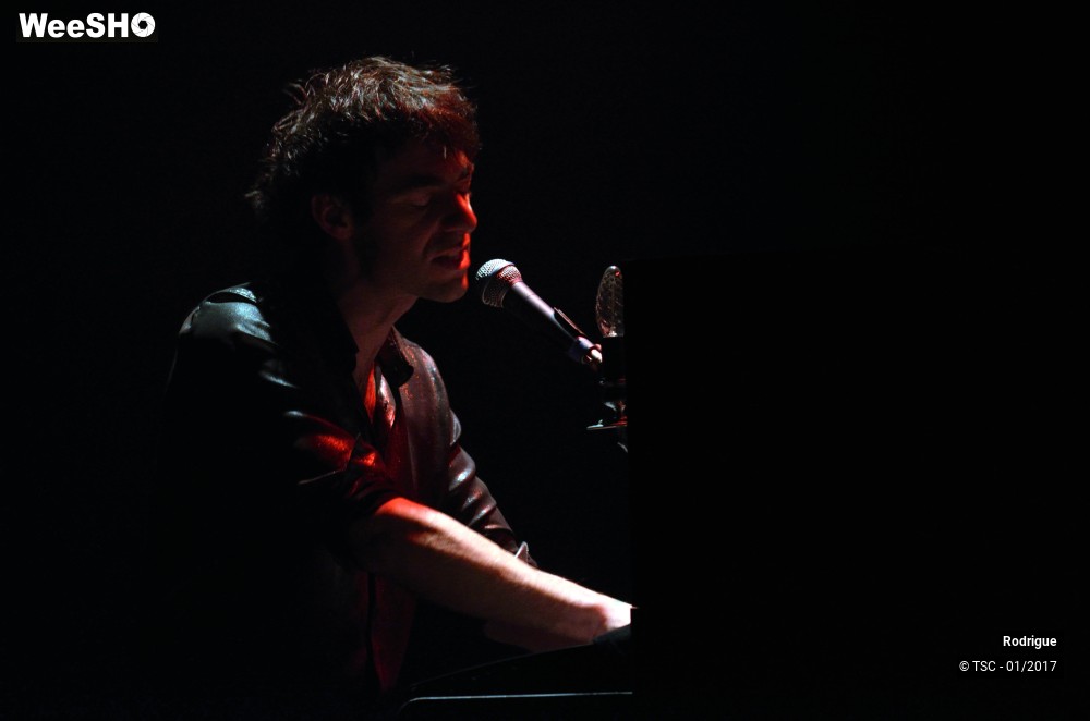 30/41 photos du spectacle Rodrigue