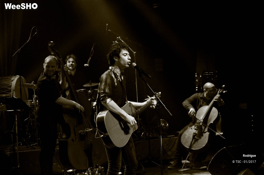 31/41 photos du spectacle Rodrigue