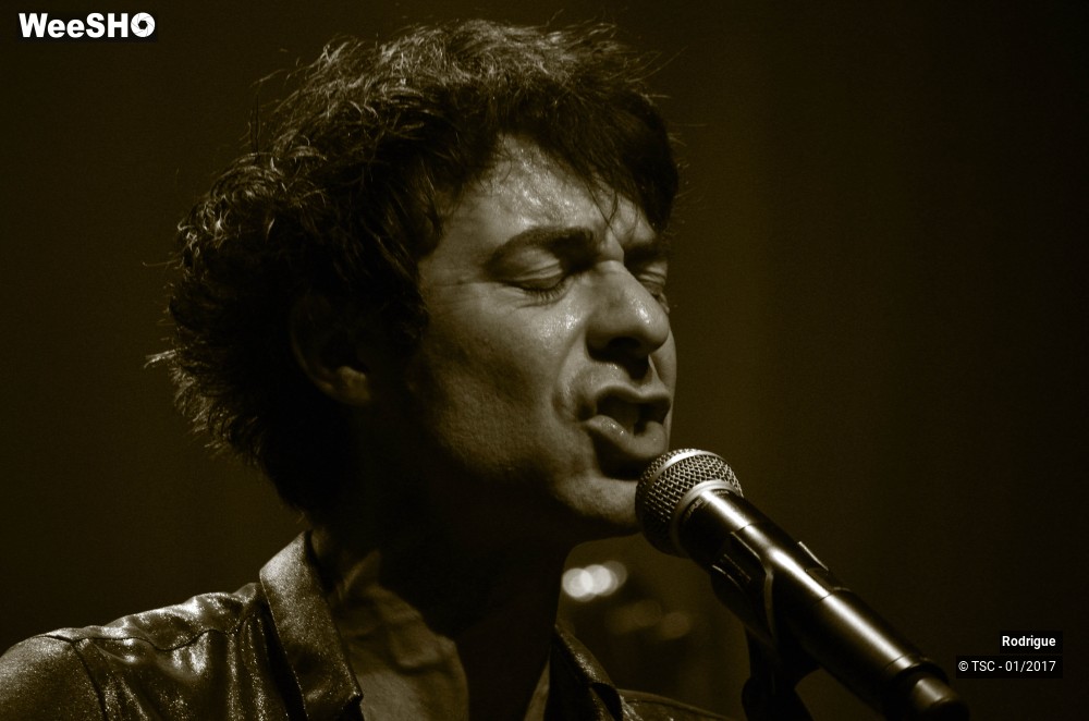 34/41 photos du spectacle Rodrigue