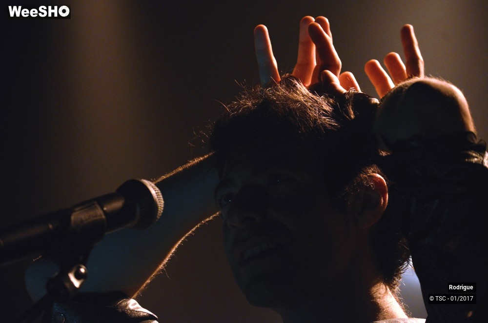 37/41 photos du spectacle Rodrigue