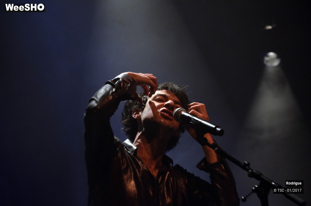 38/41 photos du spectacle Rodrigue