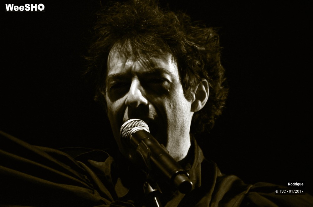 39/41 photos du spectacle Rodrigue