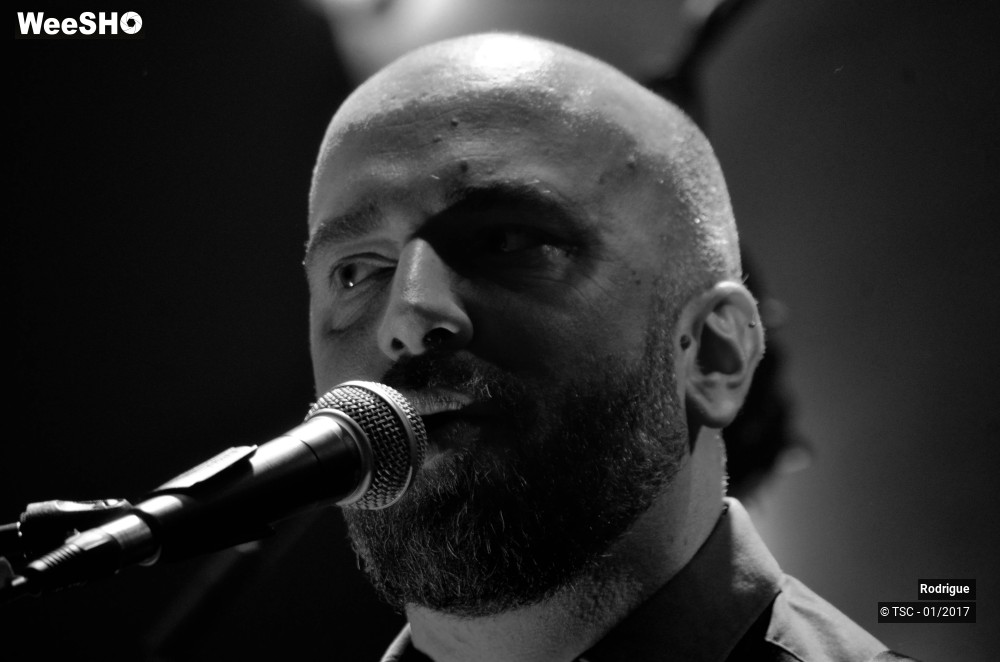 40/41 photos du spectacle Rodrigue