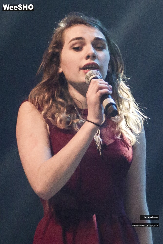 1/50 photos du spectacle Les Atrebates