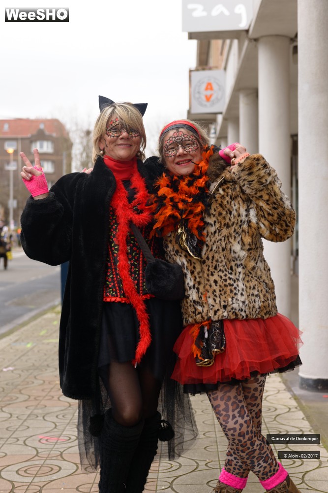 18/21 photos du spectacle Carnaval de Dunkerque partie 1